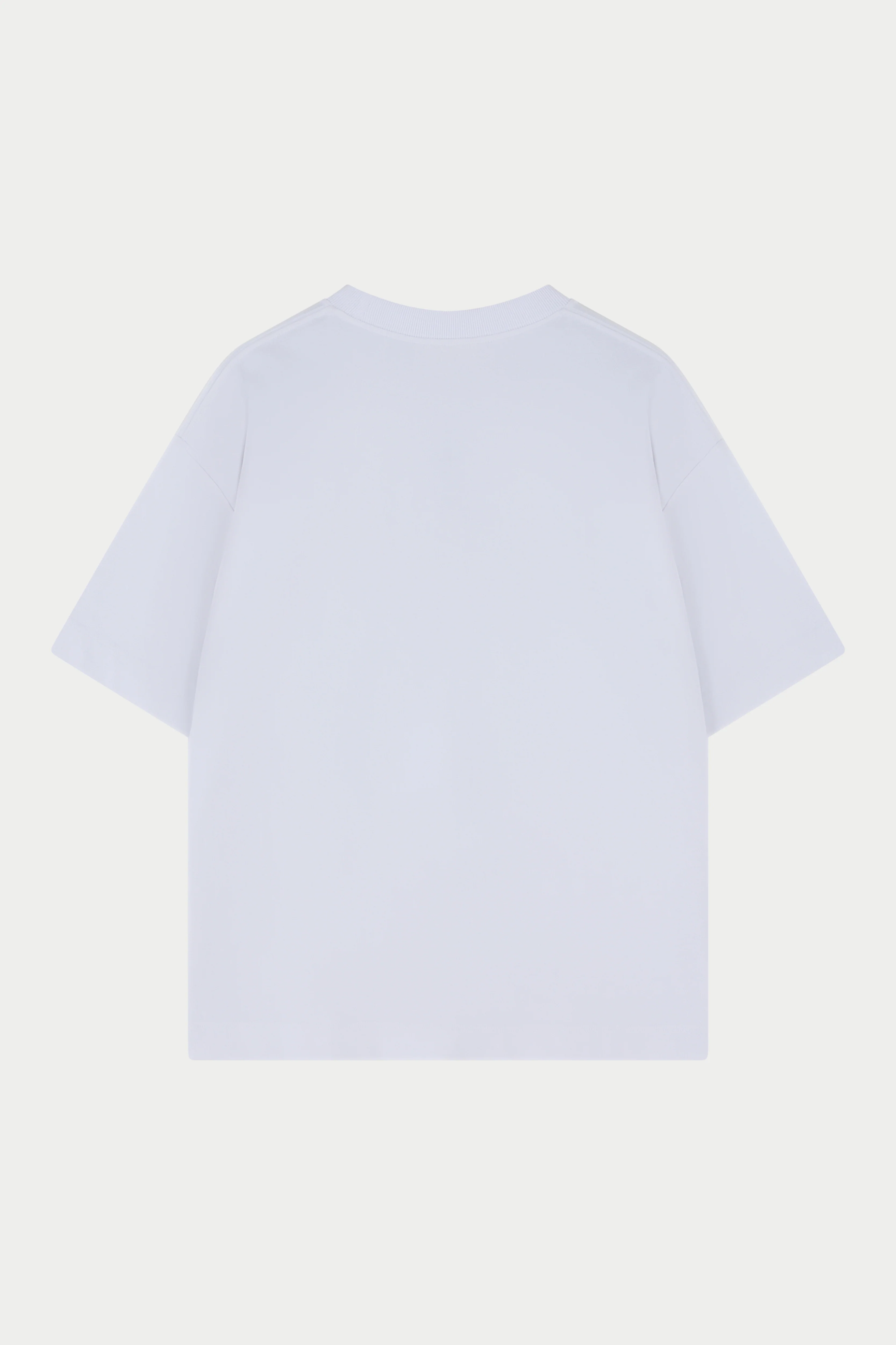 HEAVYWEIGHT BLANK T-SHIRT - WHITE - Image 7